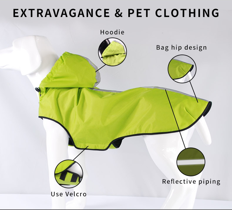 luxury designer dog clothes 2.jpg
